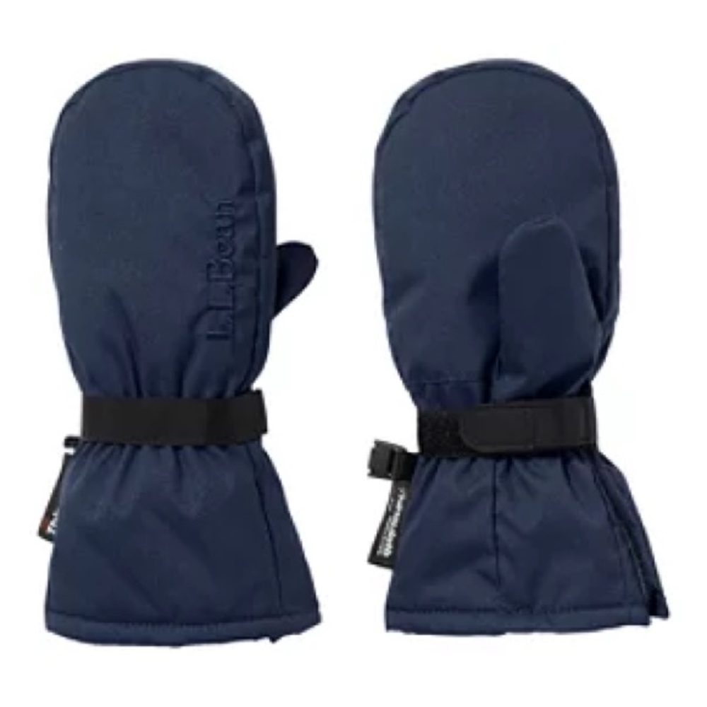 L.L. Bean Kids Blue Mittens
